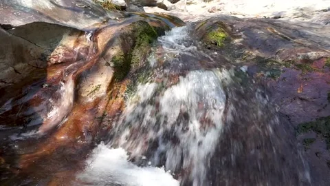 Small mountain stream Stock Footage 221164508