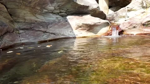 Small mountain stream Stock Footage 221164510