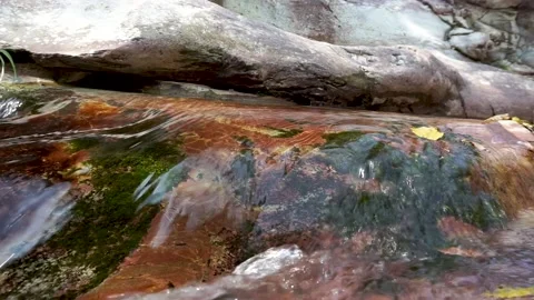 Small mountain stream Stock Footage 221164519