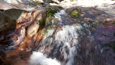 Small mountain stream Stock Footage 221164520