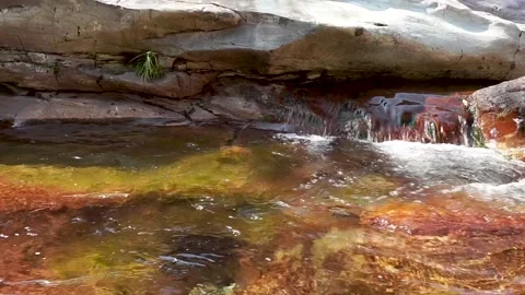 Small mountain stream Stock Footage 221164526