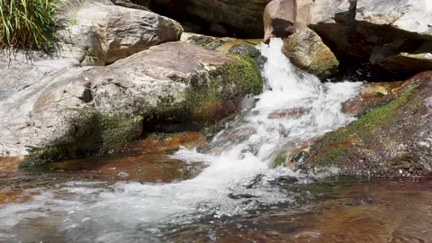 Small mountain stream Stock Footage 221164527
