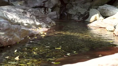 Small mountain stream Stock Footage 221164531