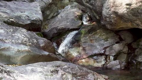 Small mountain stream Stock Footage 221164532