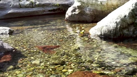 Small mountain stream Stock Footage 221164537