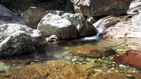 Small mountain stream Stock Footage 221164540