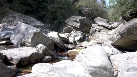 Small mountain stream Stock Footage 221164543