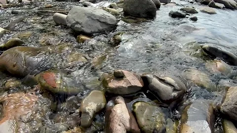 Small mountain stream Stock Footage 221164735