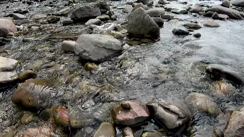 Small mountain stream Stock Footage 221164745