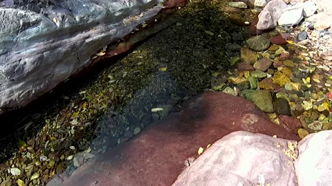 Small mountain stream Stock Footage 221164812