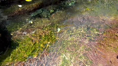 Small mountain stream Stock Footage 221164822