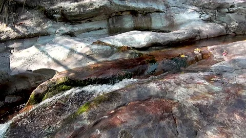 Small mountain stream Stock Footage 221164823