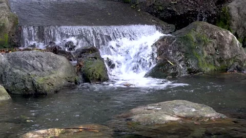 A small mountain stream Stock Footage 221210464