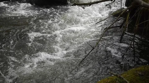 Small mountain stream Stock Footage 304906782