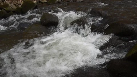 Small mountain stream Stock Footage 304906784