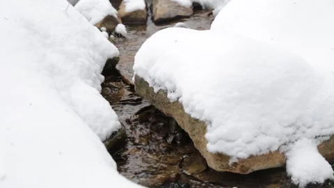 A small mountain stream in forest. Winter Mountain Stream. Mountain River.  A Stock Footage 166217551