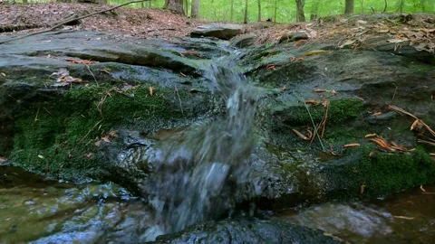 Small Mountain Stream Forks Over Mossy Rocks in Kennesaw Mountain Georgia Stock Footage 153177413