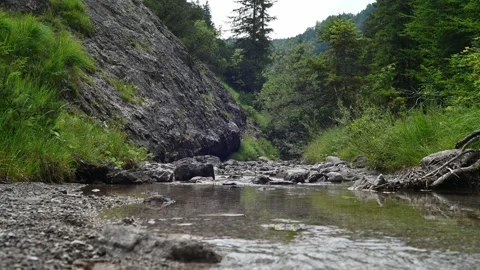 Small mountain stream in a green valley Stock-Footage 211460846