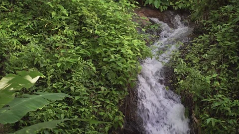 Small Mountain Stream Meanders down a Hillside, with Sound Stock Footage 72100000