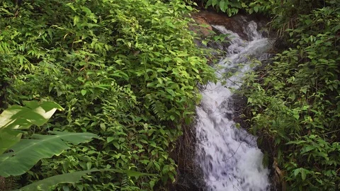 Small Mountain Stream Meanders down a Hillside, with Sound Video stock 74999223