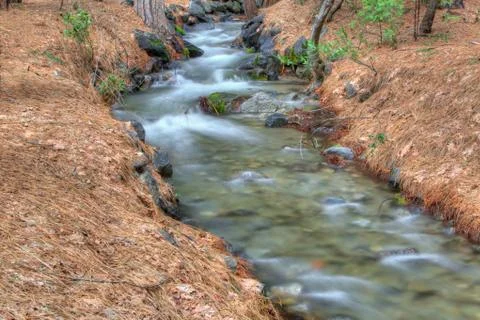 Small mountain stream Stock Photos