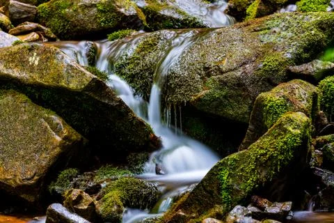 Small mountain stream Stock Photos
