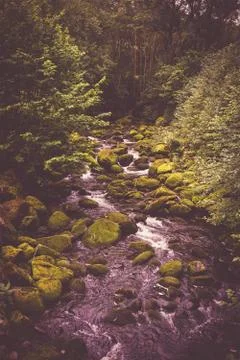 Small mountain stream Foto stock