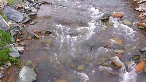 Small mountain stream with stone and current Stock Footage 113671581