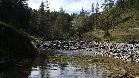 A small mountain stream in a valley with a forest in late summer Video stock 260940163