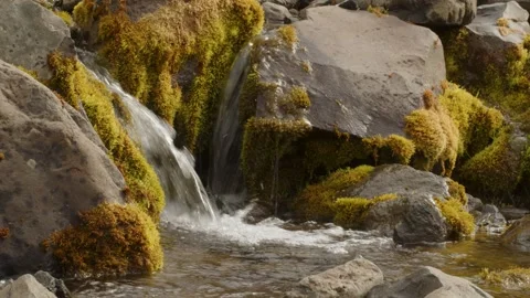 A small mountain stream of water flowing into a small river Stock Footage 249205048