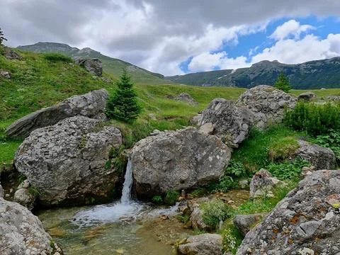 Small Mountain Stream Water Spring Flowing Through Rocks in Alpine Meadow Stock Photos