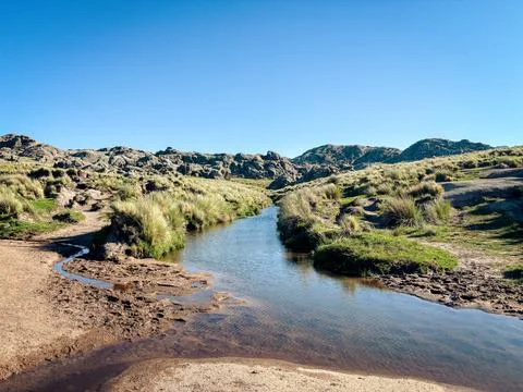 Small mountain stream winding through grassland Foto stock