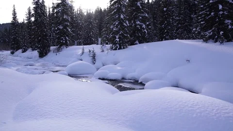 A small mountain stream in winter forest. Beautiful snow drifts. Video stock 72895342