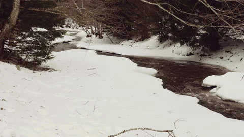 A small mountain stream in the winter. Winter Mountain Stream. 動画素材 211711052