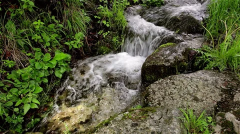 Small mountain streamlet Stock Footage 38399368