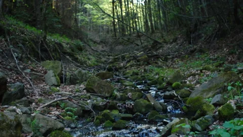 Small mountain water stream runs down hill in spring or summer time Stock Footage 326886759