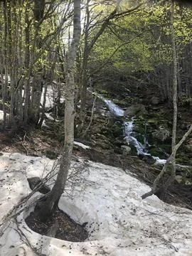 A small mountain waterfall cascades down mossy rocks past melting snow patches Stock Photos