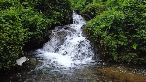 Small mountain waterfall flowing over rocks in a lush green forest environment Stock Footage 342108337