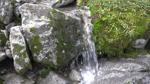 Small mountain waterfall Stock Footage 167888398