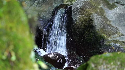 Small Mountain Waterfall 動画素材 313347056