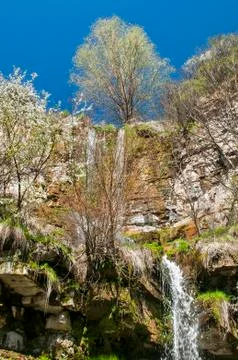 Small mountain waterfall Stock Photos