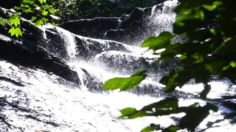Small Mountain Waterfall Sparkling Under Sunlight Video stock 313352988