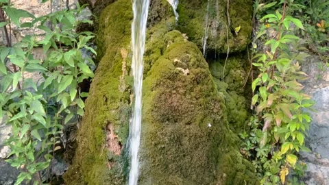 A small mountain waterfall surrounded by greenery. Stock Footage 246314843