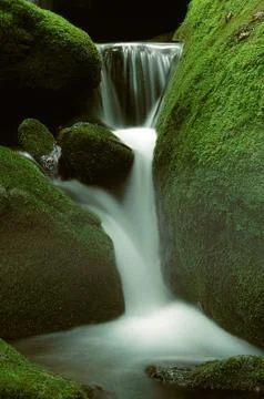 Small mountain waterfall through moss covered rocks Fotos Stock