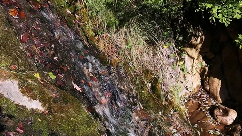 Small mountainous stream of water falling on a rock Stock Footage 119872691