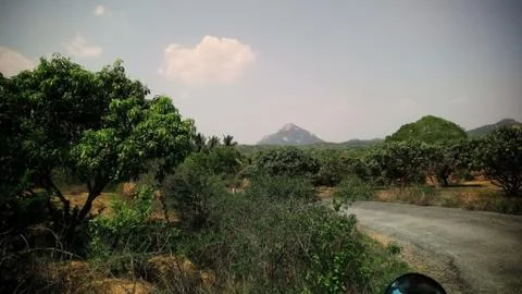 Small mountains and a tree captured in sunny weather in a small village road Stock Photos