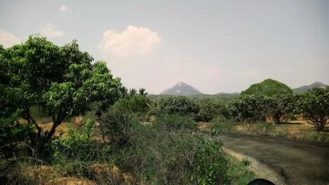 Small mountains and a tree captured in sunny weather in a small village road Stock Photos