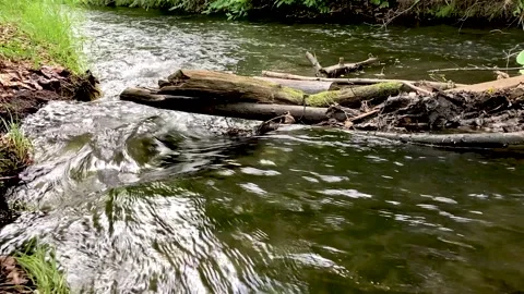 Small Moving Stream 스톡 동영상 180277740