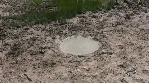 Small mud hot spring at Yellowstone Park Stock Footage 503905