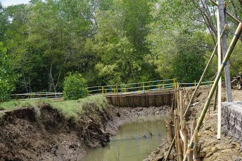 Small muddy river with bamboo structures and lush greenery Stock Photos